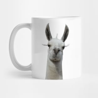 Grumpy Llama Mug